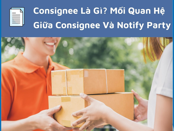 Consignee là gì? Mối quan hệ giữa consignee và notify party